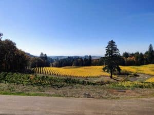 Portland Wine Country