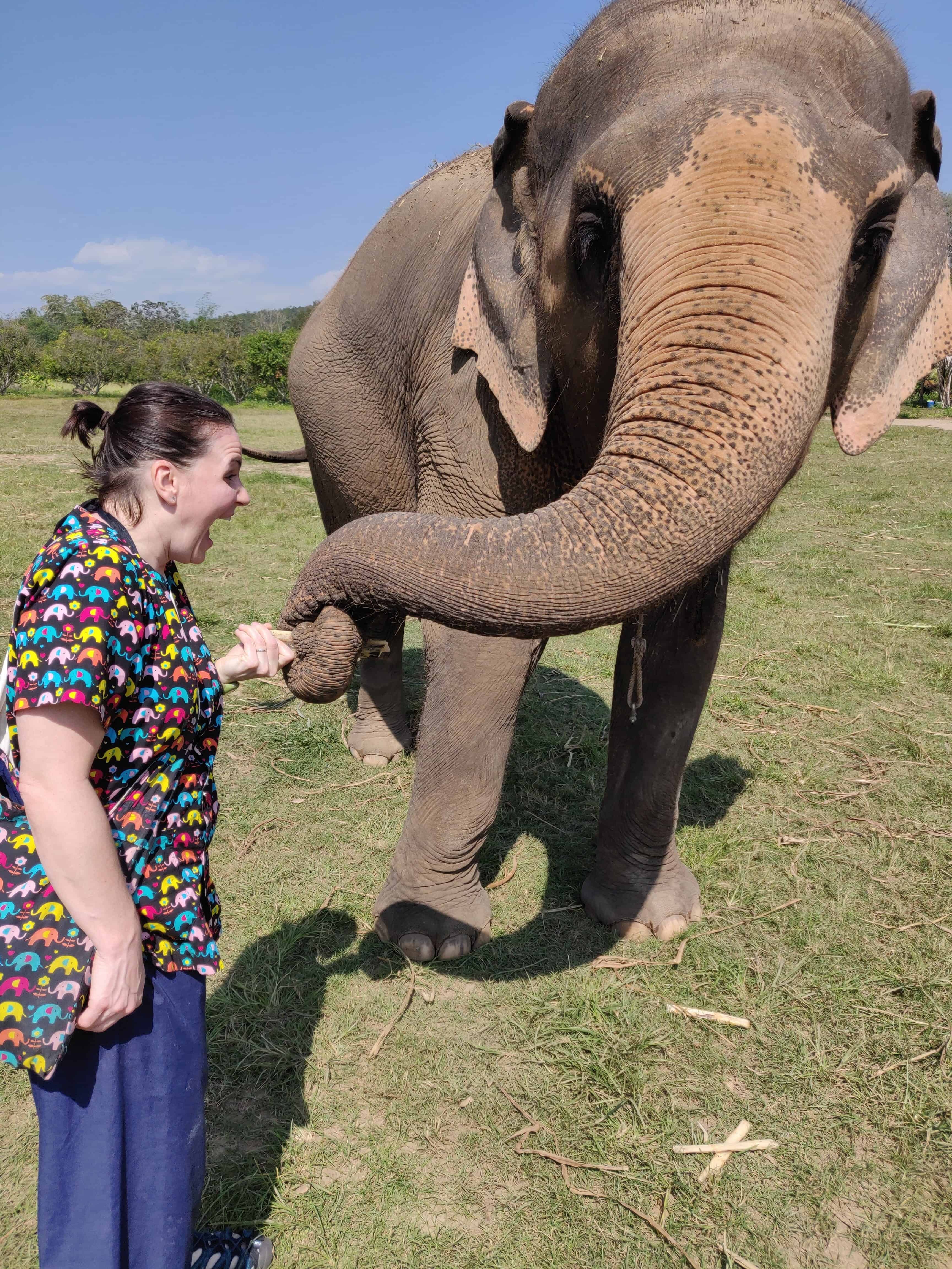 Dusti having fun with elephant at Kanta Elephant Sanctuary