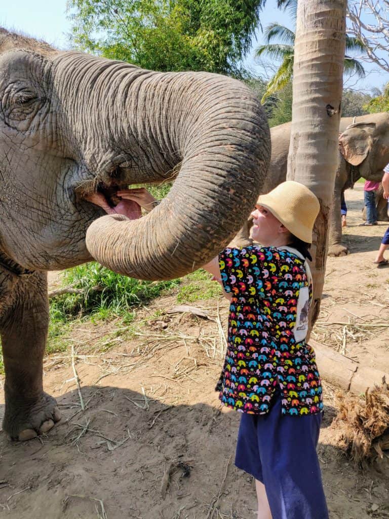 Dusti feeding elephant at Kanta Elephant Sanctuary