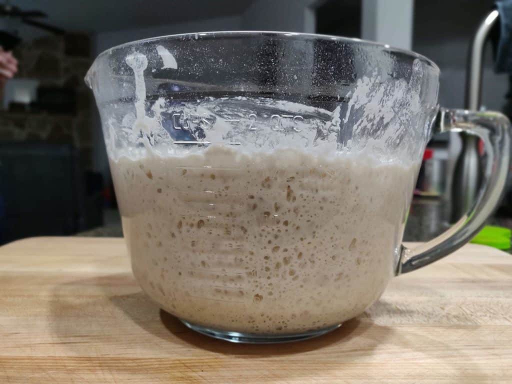 bread dough that has risen in bowl on counter