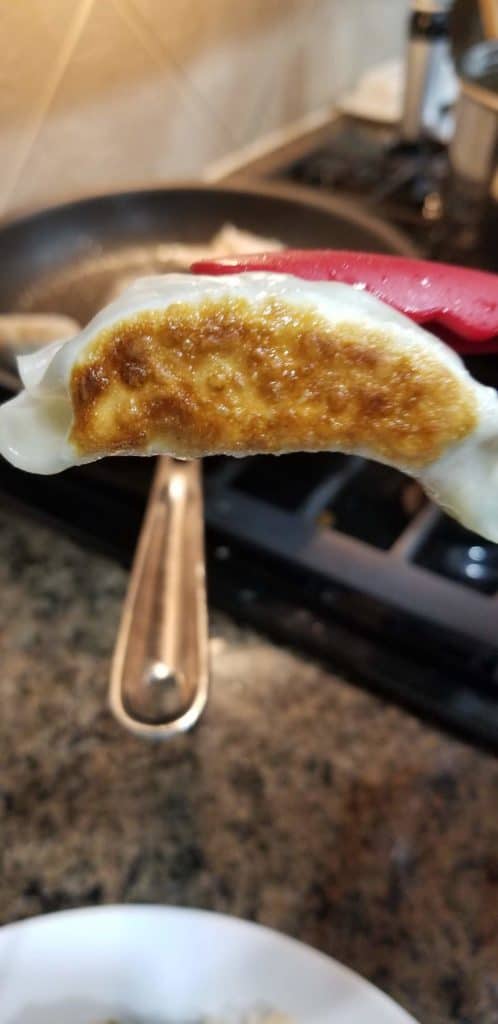 Perfectly seared dumpling