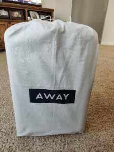 Away Carry-on in bag