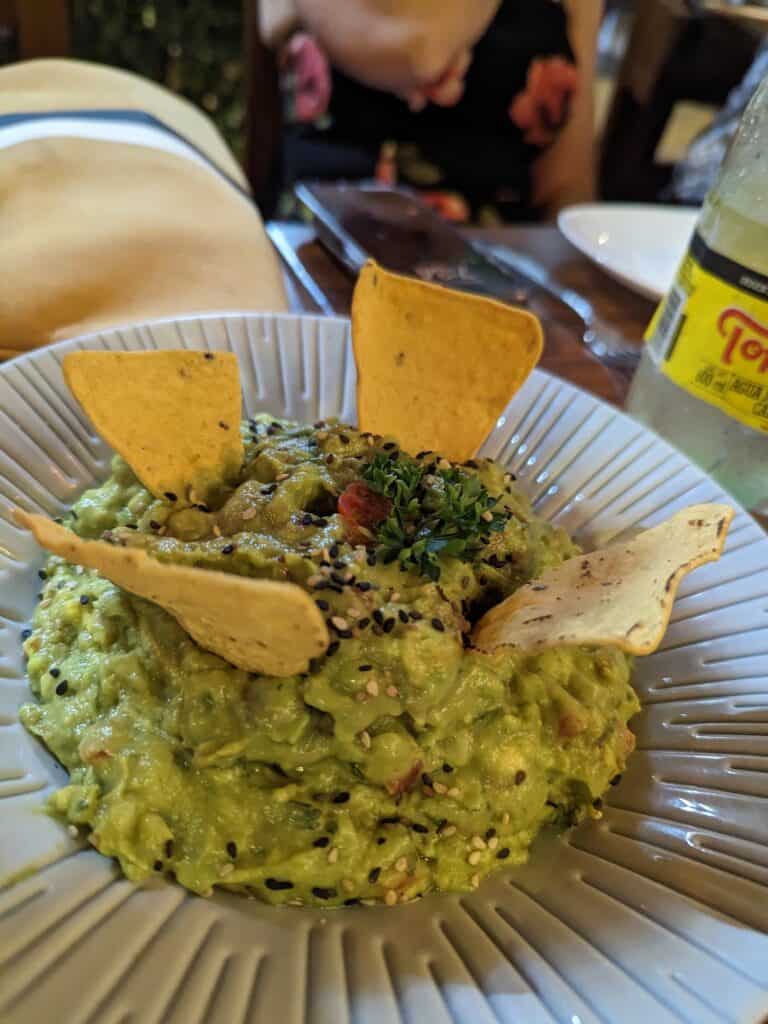 Plate of guacamole